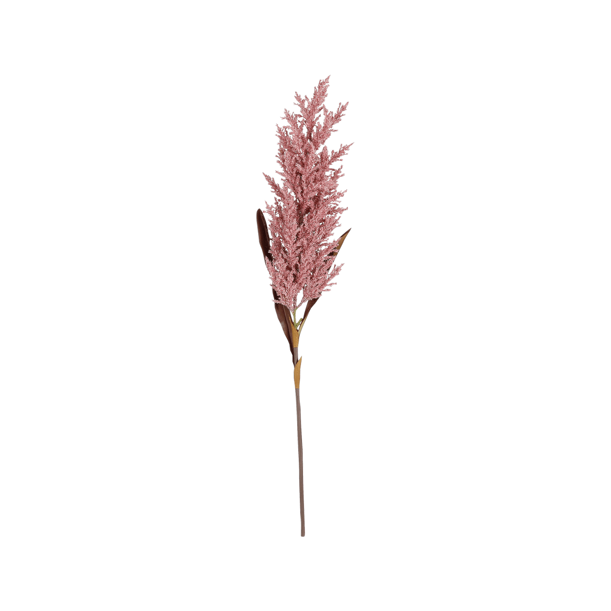 Tak Pampasgras Roze