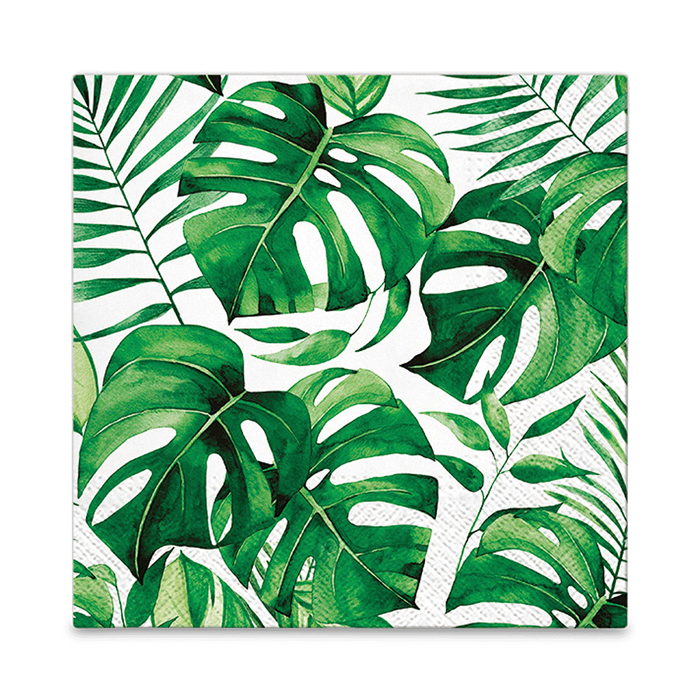 S/20 Serviet MONSTERA Groen