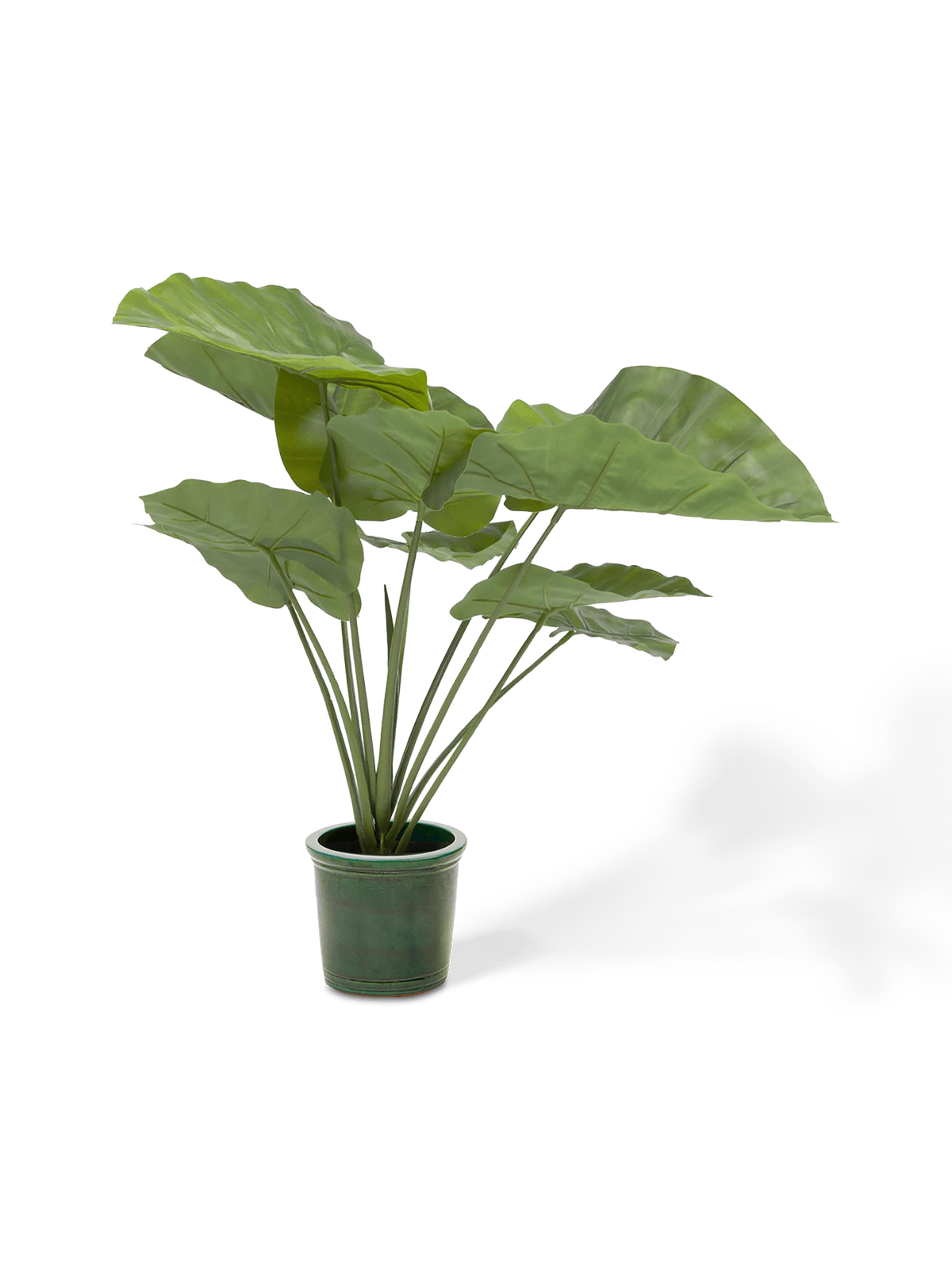Kunstmatige Alocasia Odora met zwarte plantenpot 57 cm
