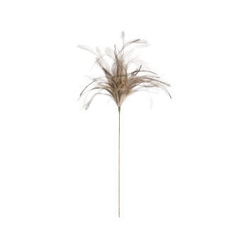 Bijsteekveer OLFRAS Enkel Bruin Bijsteekveer OLFRAS Enkel Bruin