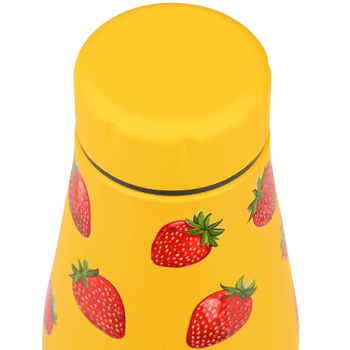 Isoleerfles DAMYAN 500ml Berry Geel/Rood Isoleerfles DAMYAN 500ml Berry Geel/Rood