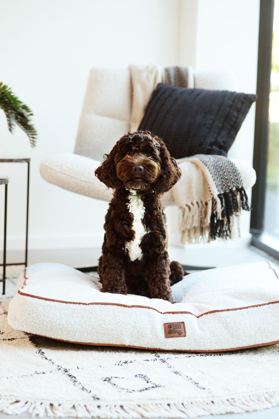 Dierenkussen WOOLY Rh. L Beige Dierenkussen WOOLY Rh. L Beige