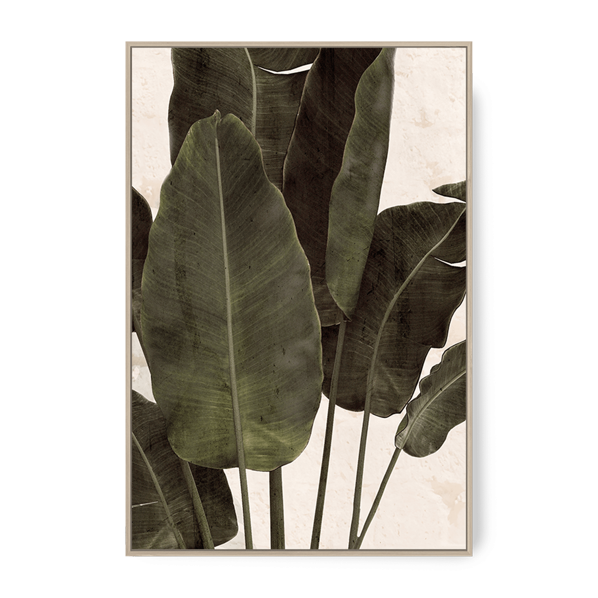 Framed Canvas KADEK 80x120
