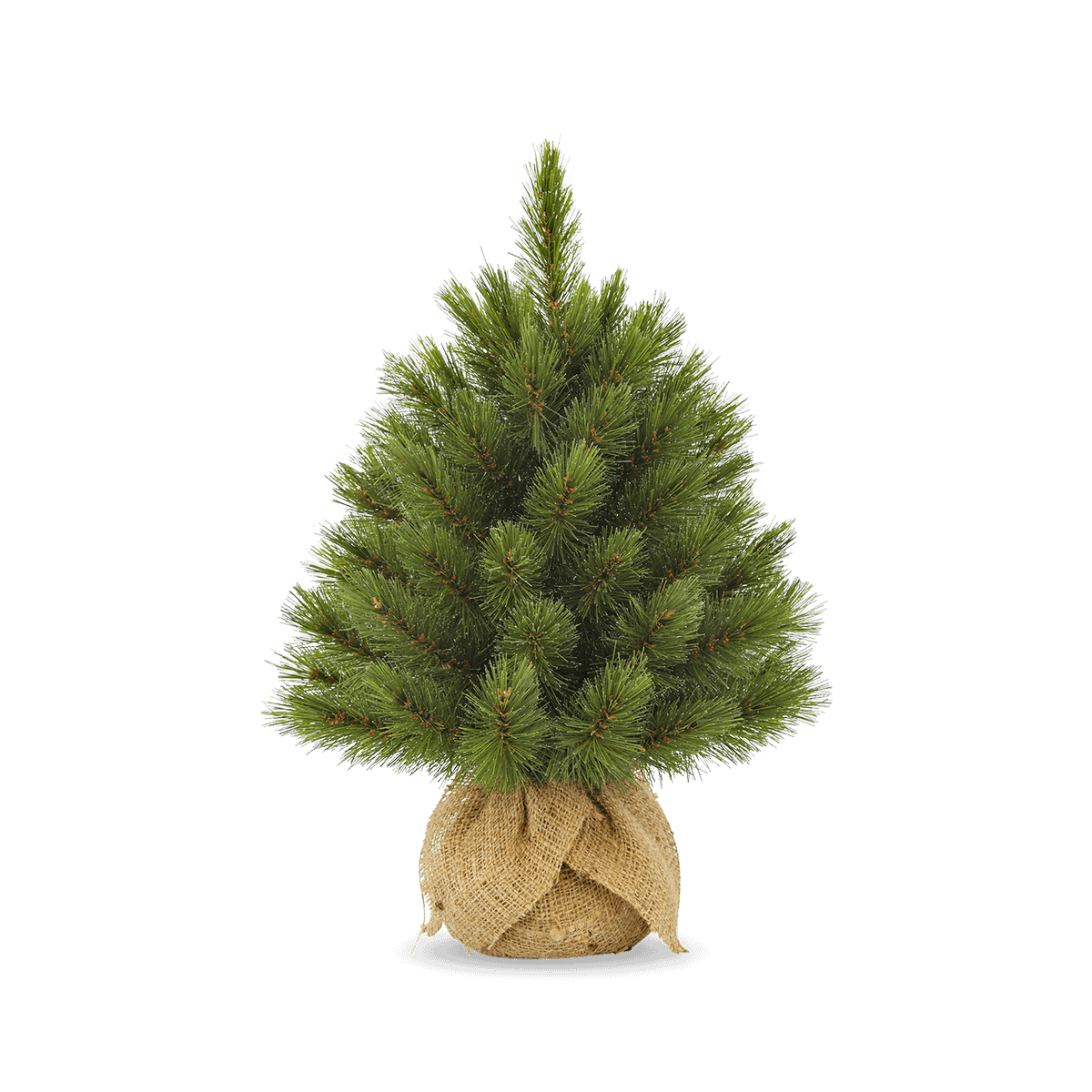 Kerstboom FORETLE Groen