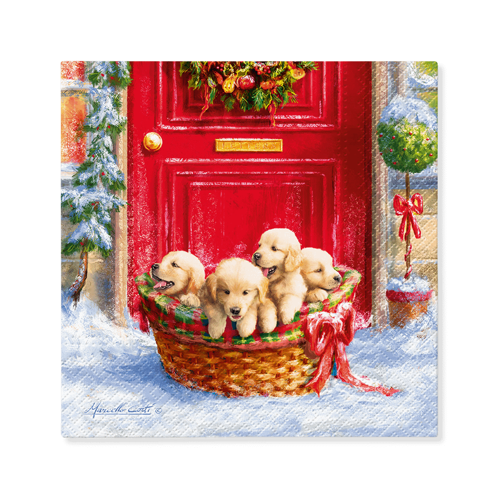 Serviet CHIOTS S/20 Rood/Groen