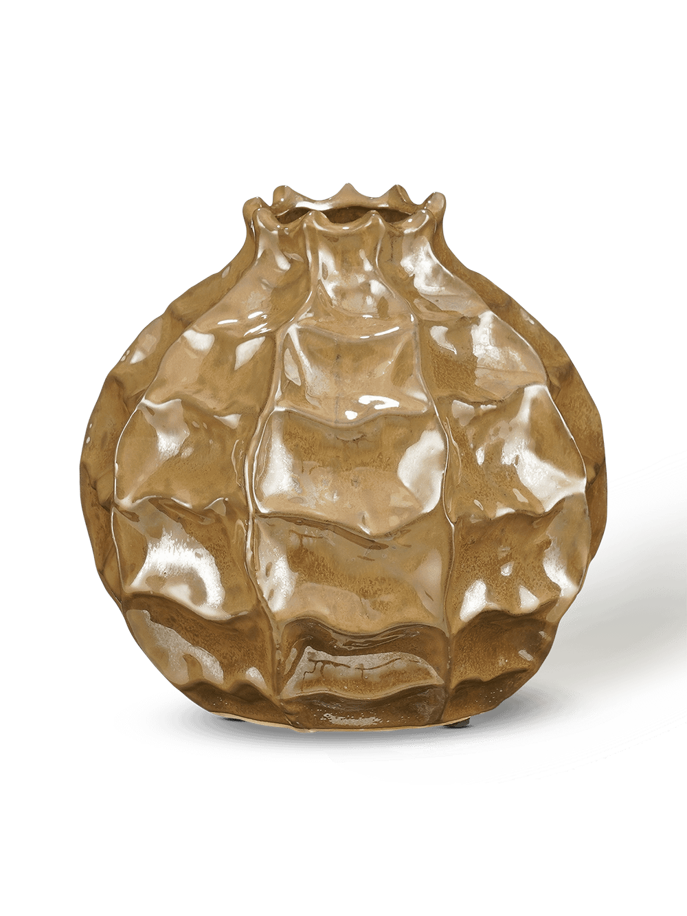 Vaas Abelard XL Bruin