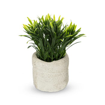 Arftif. Plant ITOMI Groen Pot Grijs Ass. Arftif. Plant ITOMI Groen Pot Grijs Ass.