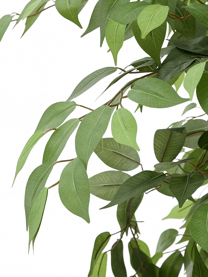 Kunstboom Ficus met zwarte pot 180 cm