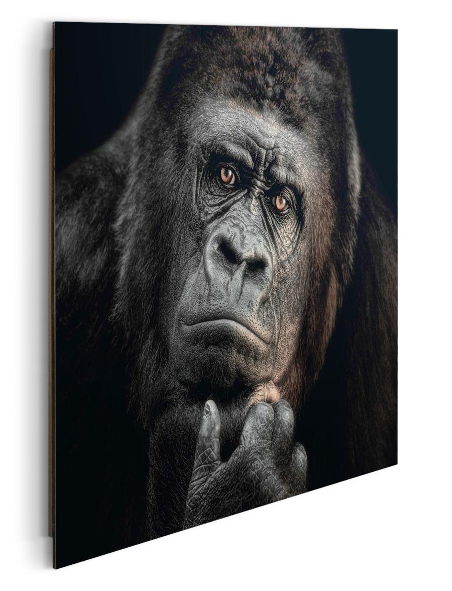 Canvas REI Gorilla Thinking 50x40 Canvas REI Gorilla Thinking 50x40