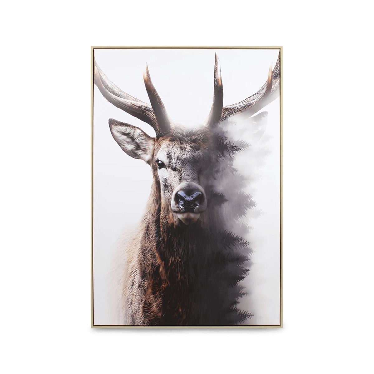 Framed Canvas TOVELI Rendier