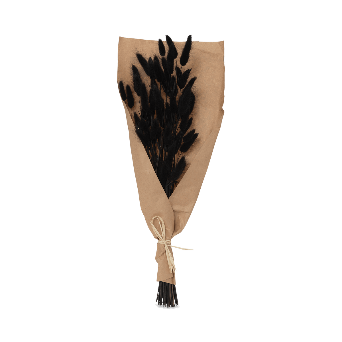 Bundel Droogbloem KORIAS Zwart