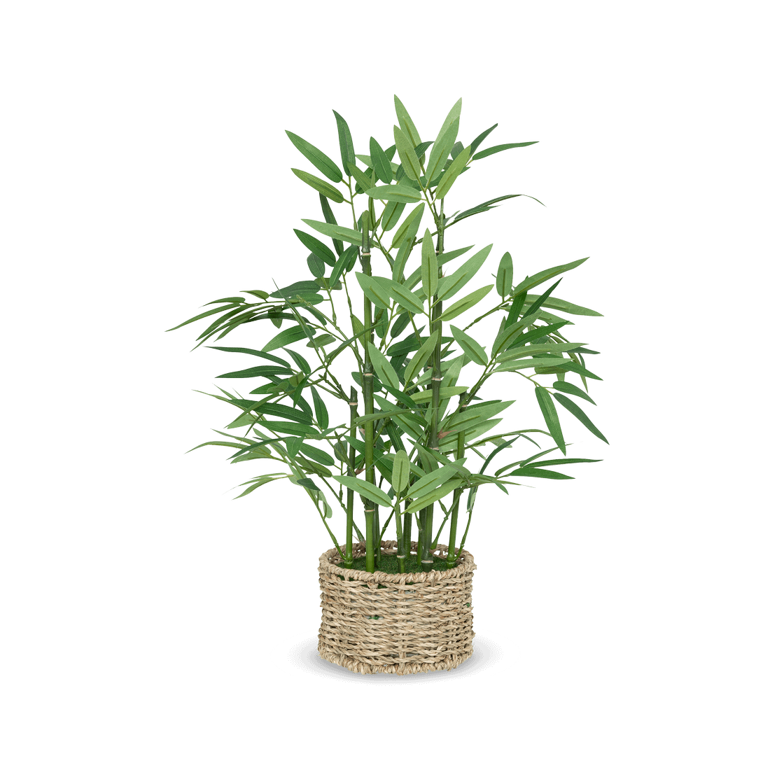 Artif. Bamboe BRODOU in Mand Nat. Artif. Bamboe BRODOU in Mand Nat.
