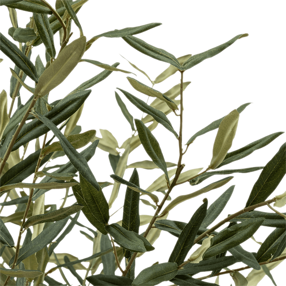 Artif. Plant OLIVIER Artif. Plant OLIVIER