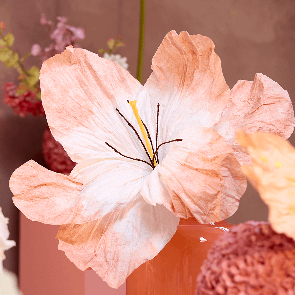 Bloem LOOK Papier Peach Bloem LOOK Papier Peach