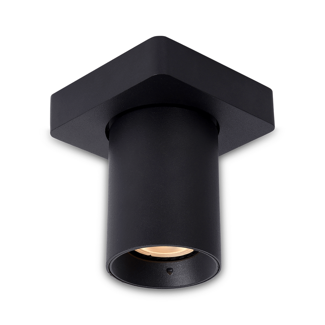 Plafondspot NIGEL 1Del. Zwart Plafondspot NIGEL 1Del. Zwart