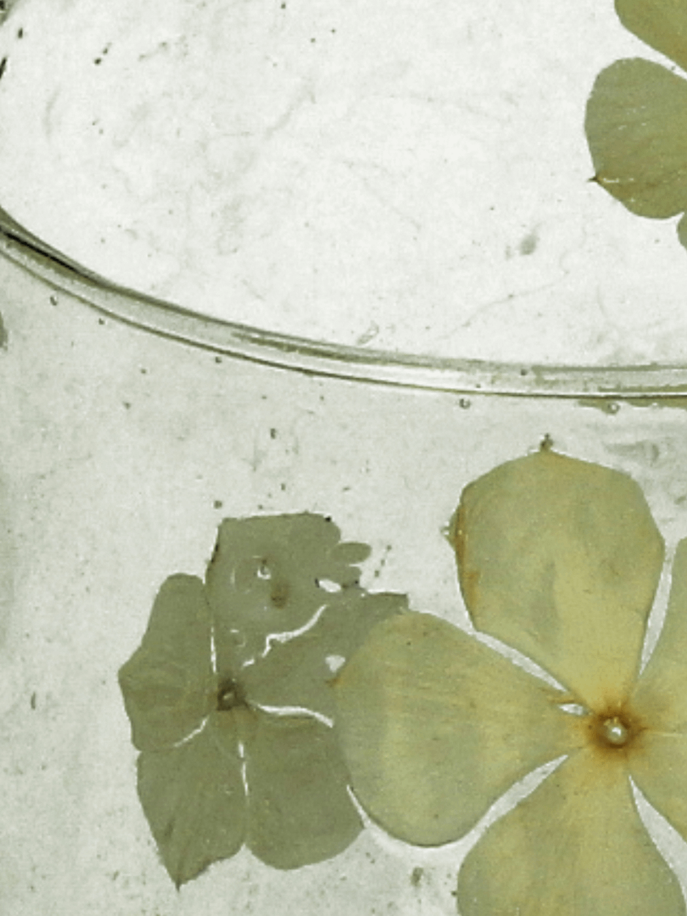 TL-Houder FERIKE L Bloem Glas
