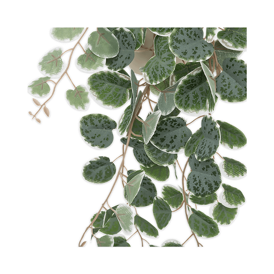 Artificiële Hangplant Lour Groen Artificiële Hangplant Lour Groen