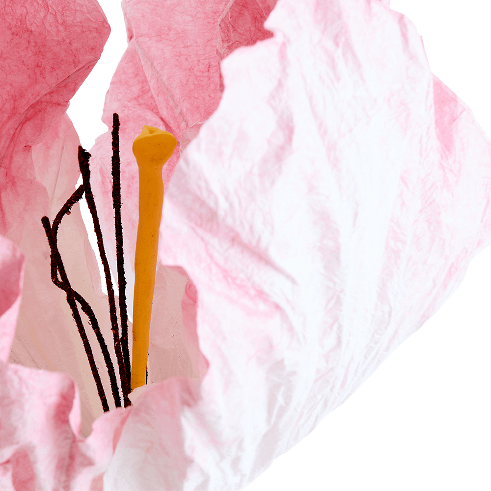 Bloem LOOK Papier Roze Bloem LOOK Papier Roze