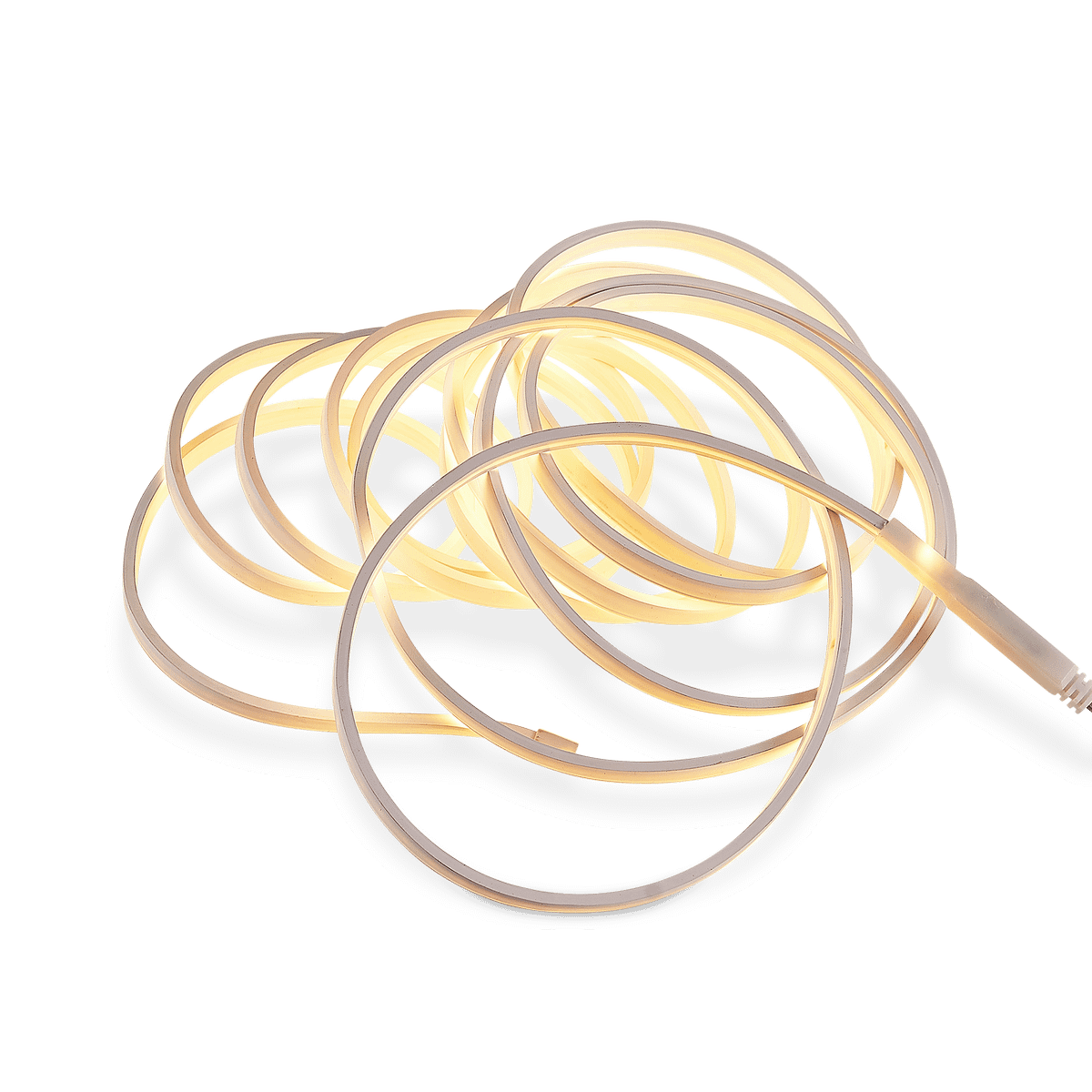 LED Strip NEON 5m Wit