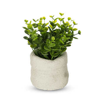 Arftif. Plant ITOMI Groen Pot Grijs Ass. Arftif. Plant ITOMI Groen Pot Grijs Ass.