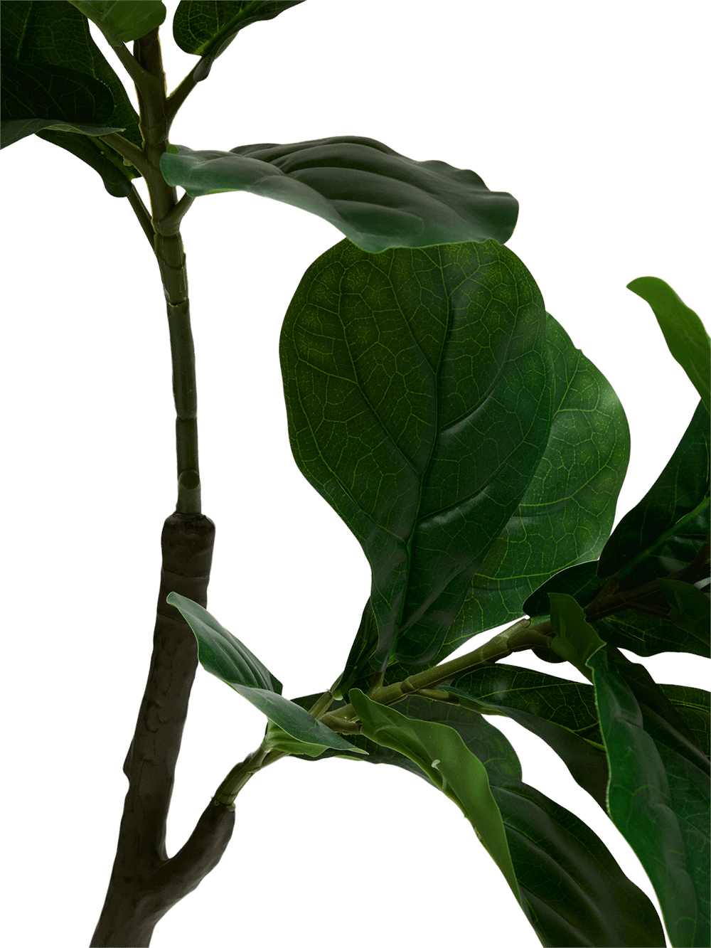 Kunstplant Ficus 150cm