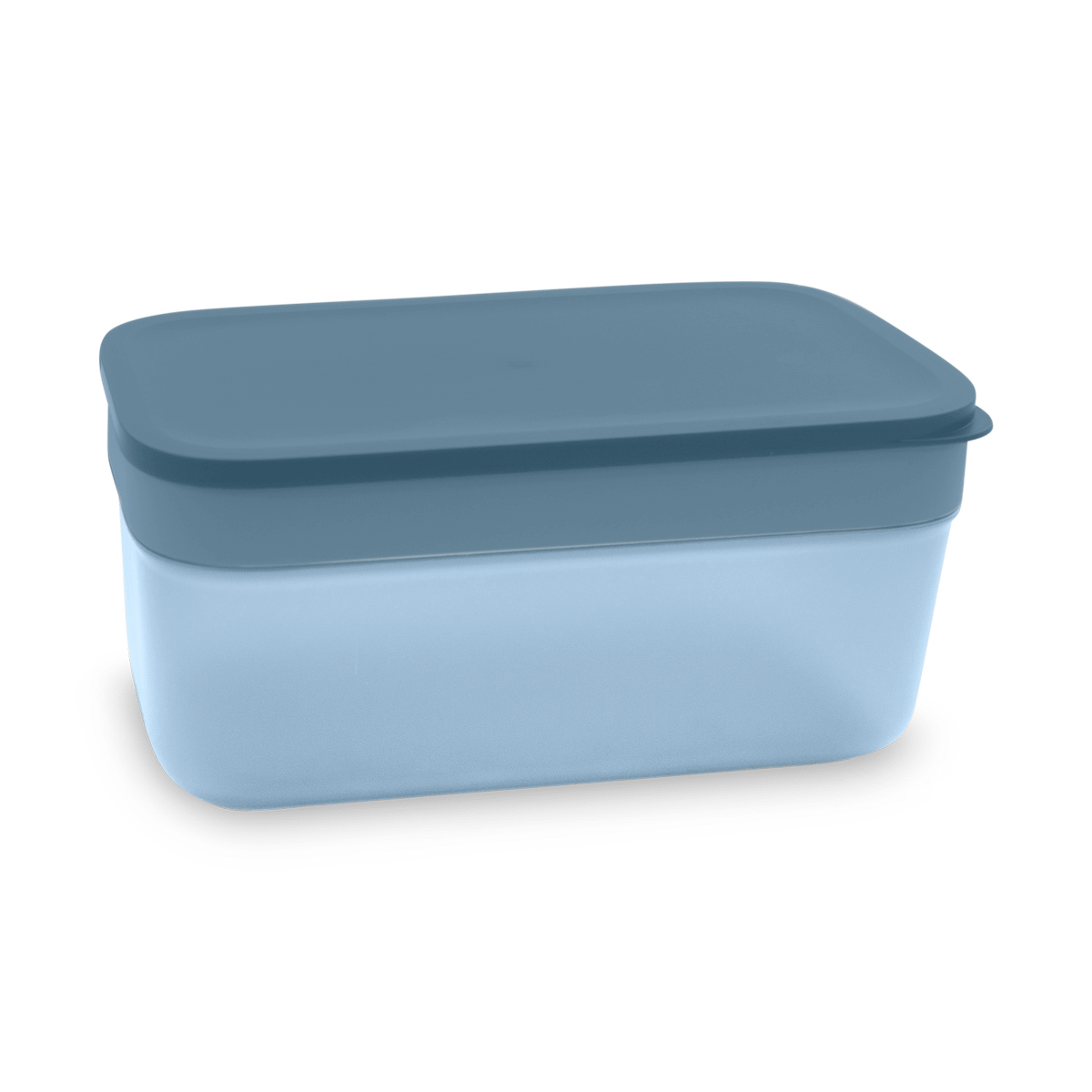 Ijsblokjesvorm DOTZ Sil. M/Ijsbak Blauw