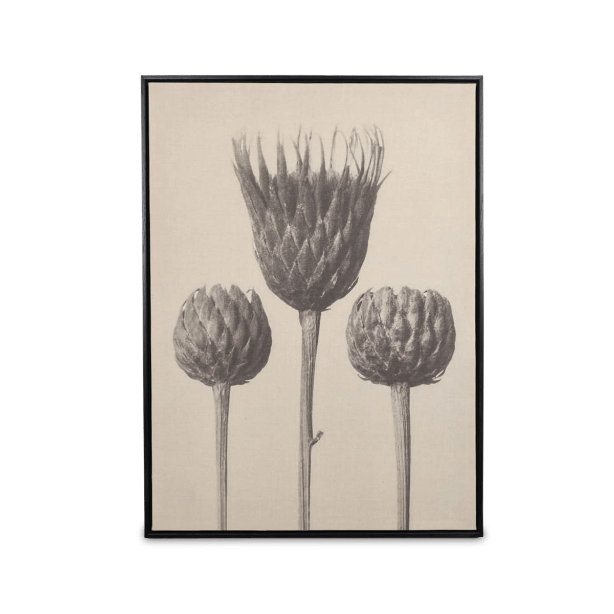 Muurdeco FLOWER 58x78