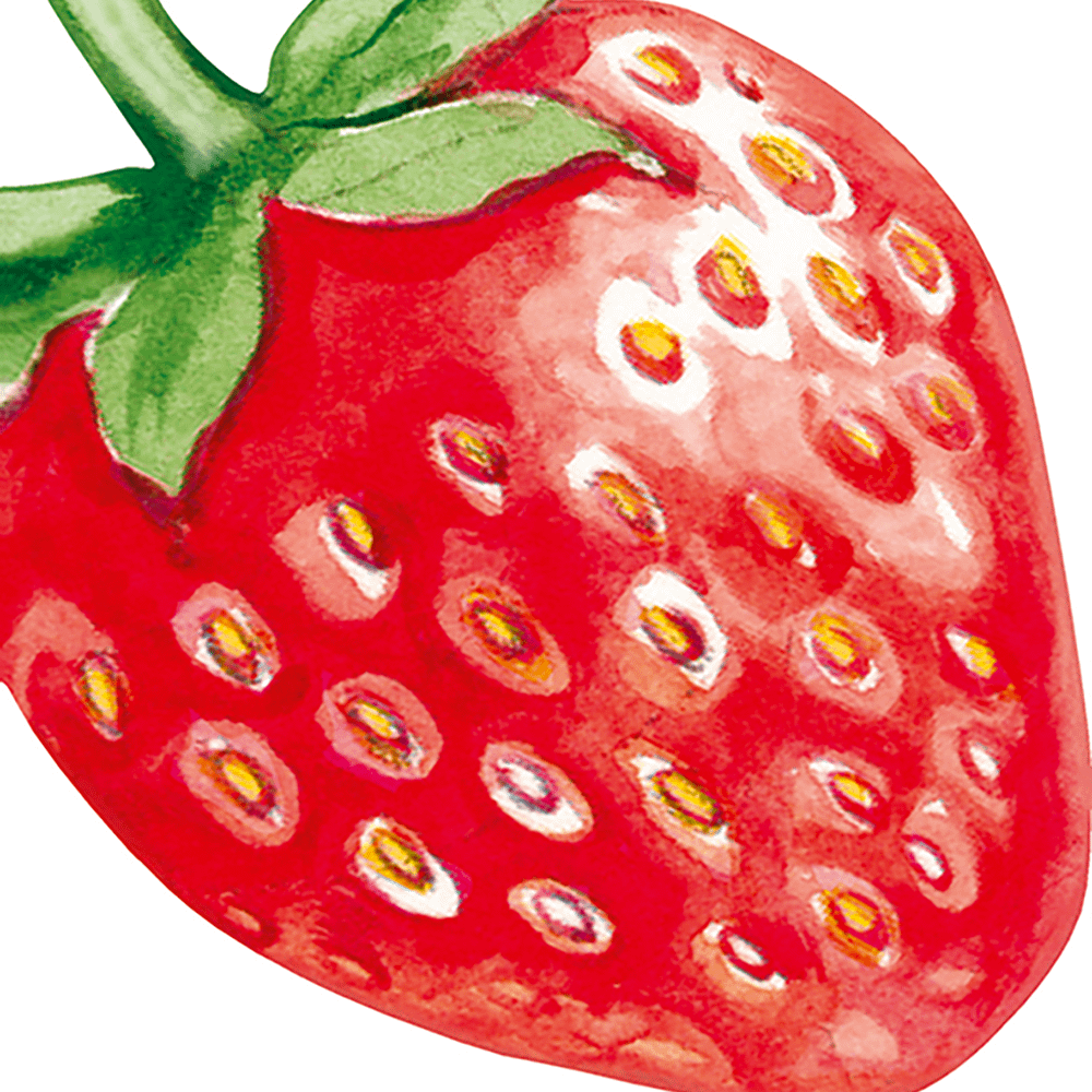 S/12 Servet STRAWBERRY Rood