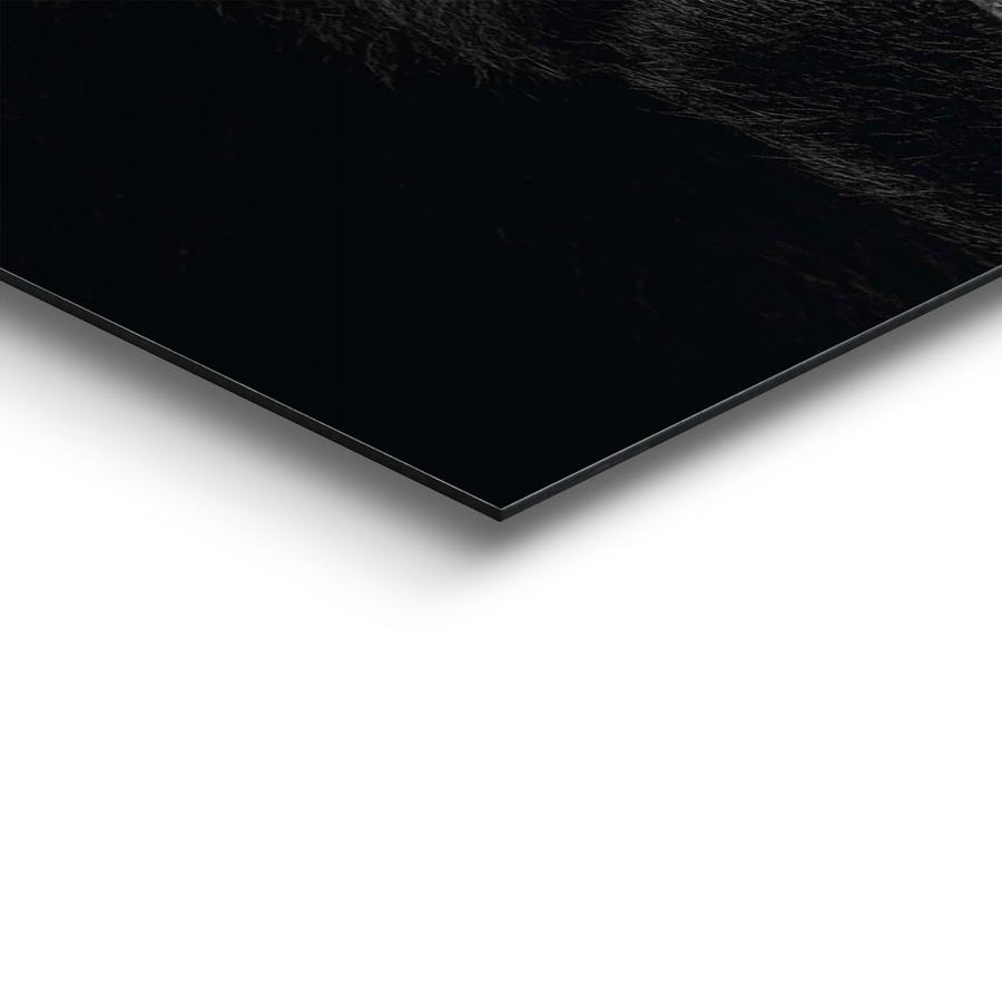 Canvas REI Gorilla Thinking 50x40 Canvas REI Gorilla Thinking 50x40