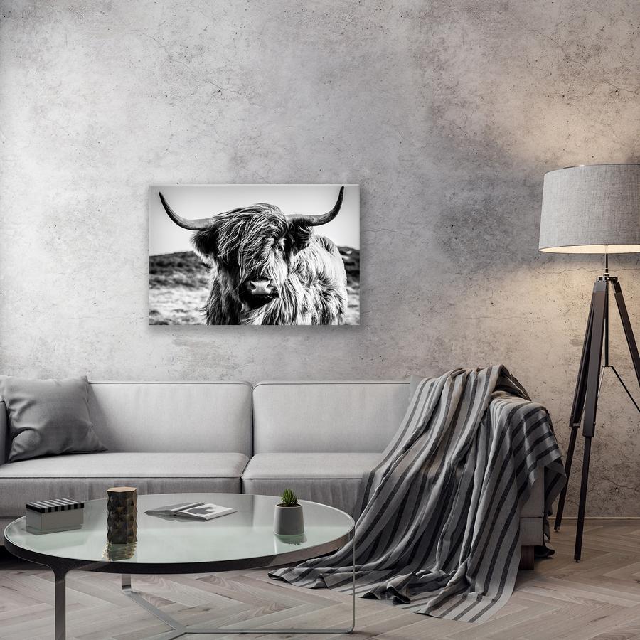 Canvas BUFFLE 90x60cm Canvas BUFFLE 90x60cm