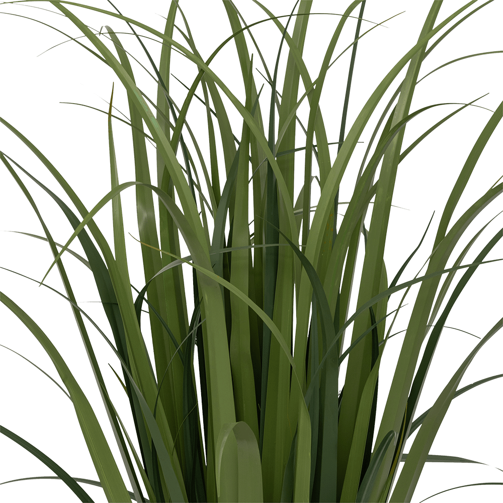 Plant Artif. ZHYA L in Mand Plant Artif. ZHYA L in Mand